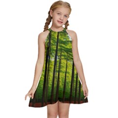 Green Forest Jungle Trees Nature Sunny Kids  Halter Collar Waist Tie Chiffon Dress by Ravend