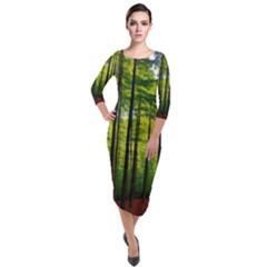 Green Forest Jungle Trees Nature Sunny Quarter Sleeve Midi Velour Bodycon Dress by Ravend