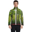 Green Forest Jungle Trees Nature Sunny Men s Bomber Jacket View1