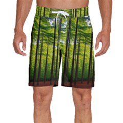 Green Forest Jungle Trees Nature Sunny Men s Beach Shorts