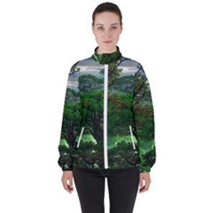 Jungle Forreast Landscape Nature Women s High Neck Windbreaker by Ravend