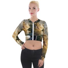 Natural Landscape Nature Vegetation Jungle Long Sleeve Cropped Velvet Jacket by Ravend