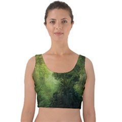 Green Beautiful Jungle Velvet Crop Top by Ravend