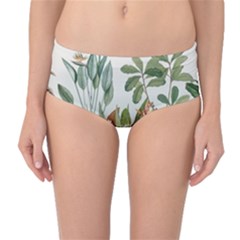 Tropical Jungle Plants Mid-waist Bikini Bottoms by Ravend