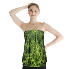 Green Pine Forest Strapless Top