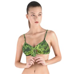 Green Pine Forest Tie Up Cut Bikini Top by Ravend