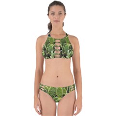 Cactus Flora Flower Nature Floral Perfectly Cut Out Bikini Set by Vaneshop