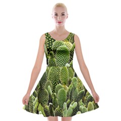 Cactus Flora Flower Nature Floral Velvet Skater Dress