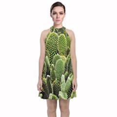 Cactus Flora Flower Nature Floral Velvet Halter Neckline Dress 