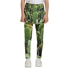 Cactus Flora Flower Nature Floral Kids  Skirted Pants by Vaneshop