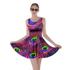 Peacock Feathers Color Plumage Skater Dress by Celenk