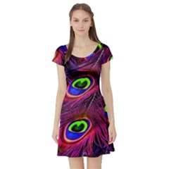 Peacock Feathers Color Plumage Short Sleeve Skater Dress by Celenk