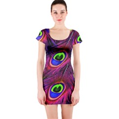 Peacock Feathers Color Plumage Short Sleeve Bodycon Dress by Celenk