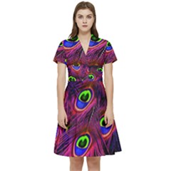 Peacock Feathers Color Plumage Short Sleeve Waist Detail Dress by Celenk