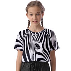 Animal Cute Pattern Art Zebra Kids  Basic Tee by Amaryn4rt