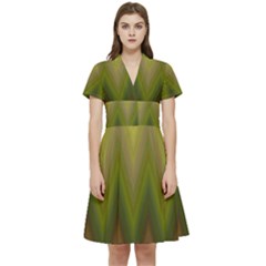 Zig Zag Chevron Classic Pattern Short Sleeve Waist Detail Dress by Celenk