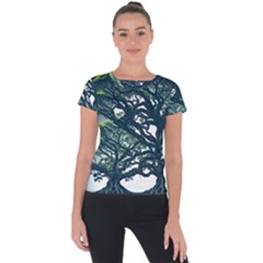 Tree Leaf Green Forest Wood Natural Nature Short Sleeve Sports Top  by Ravend