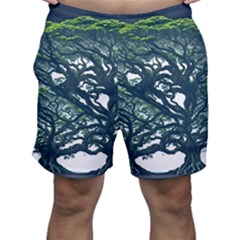 Tree Leaf Green Forest Wood Natural Nature Men s Shorts by Ravend