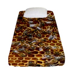 Honey Bee Bees Insect Fitted Sheet (single Size) by Ravend