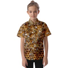 Honey Bee Bees Insect Kids  Short Sleeve Shirt by Ravend