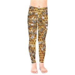 Honey Bee Bees Insect Kids  Leggings by Ravend