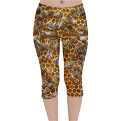 Honey Bee Bees Insect Velvet Capri Leggings  by Ravend