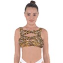 Honey Bee Bees Insect Bandaged Up Bikini Top View1