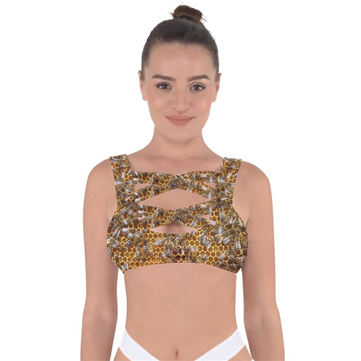 Honey Bee Bees Insect Bandaged Up Bikini Top