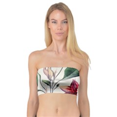 Floral Pattern Bandeau Top by designsbymallika