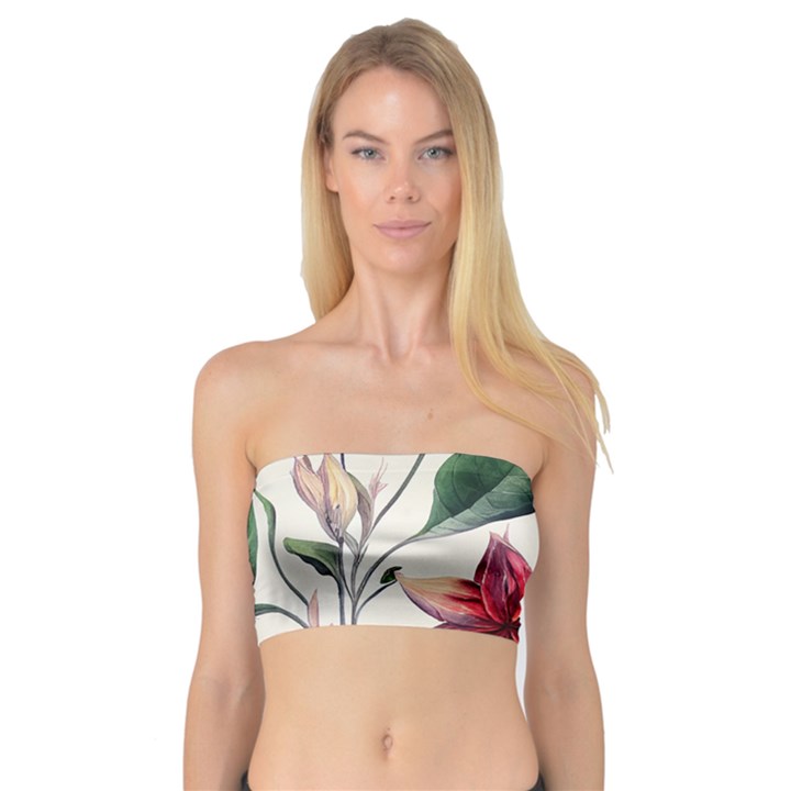 floral pattern Bandeau Top