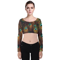 Peacock Feathers Velvet Long Sleeve Crop Top by Ravend