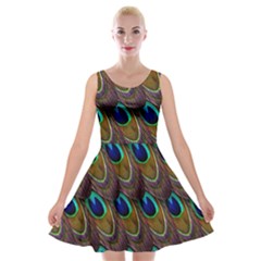 Peacock-feathers-bird-plumage Velvet Skater Dress by Ravend