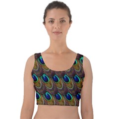 Peacock-feathers-bird-plumage Velvet Crop Top by Ravend