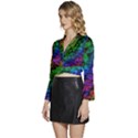 Pride Glass Long Sleeve Tie Back Satin Wrap Top View2