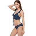 Digital dark blue Linen Low Cut Ruffle Edge Bikini Set View2