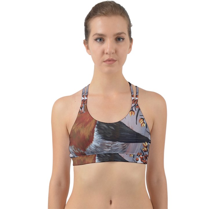 European robin Back Web Sports Bra