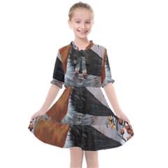 European Robin Kids  All Frills Chiffon Dress by EireneSan