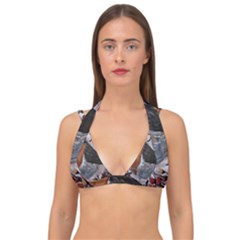 European Robin Double Strap Halter Bikini Top