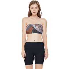 European Robin Stretch Shorts And Tube Top Set