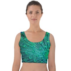 Green And Blue Peafowl Peacock Animal Color Brightly Colored Velvet Crop Top by uniart180623