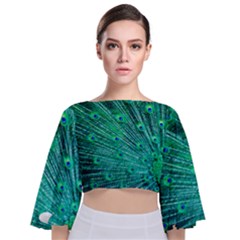 Green And Blue Peafowl Peacock Animal Color Brightly Colored Tie Back Butterfly Sleeve Chiffon Top by uniart180623