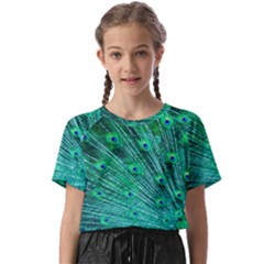 Green And Blue Peafowl Peacock Animal Color Brightly Colored Kids  Basic Tee by uniart180623