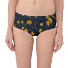 Bloomed Yellow Petaled Flower Plants Mid-waist Bikini Bottoms by artworkshop