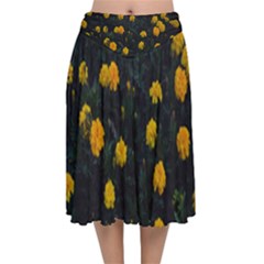 Bloomed Yellow Petaled Flower Plants Velvet Flared Midi Skirt by artworkshop