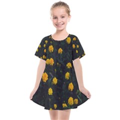 Bloomed Yellow Petaled Flower Plants Kids  Smock Dress by artworkshop