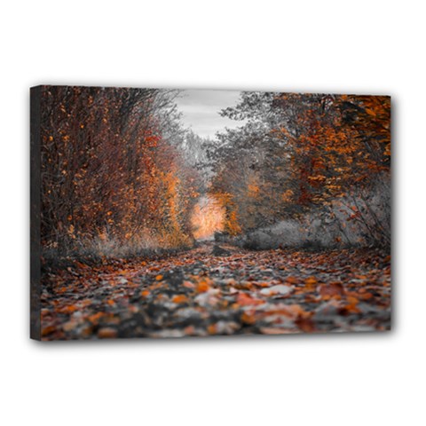 Breathe In Nature Background Canvas 18  X 12  (stretched) by artworkshop