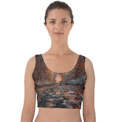 Breathe In Nature Background Velvet Crop Top