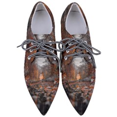 Breathe In Nature Background Pointed Oxford Shoes by artworkshop