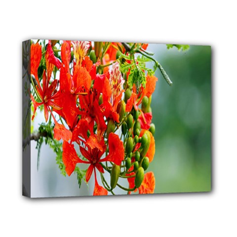 Gathering Sping Flowers Wallpapers Canvas 10  X 8  (stretched) by artworkshop