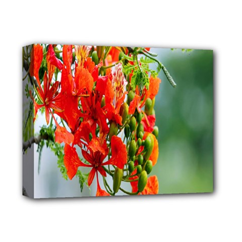 Gathering Sping Flowers Wallpapers Deluxe Canvas 14  X 11  (stretched) by artworkshop